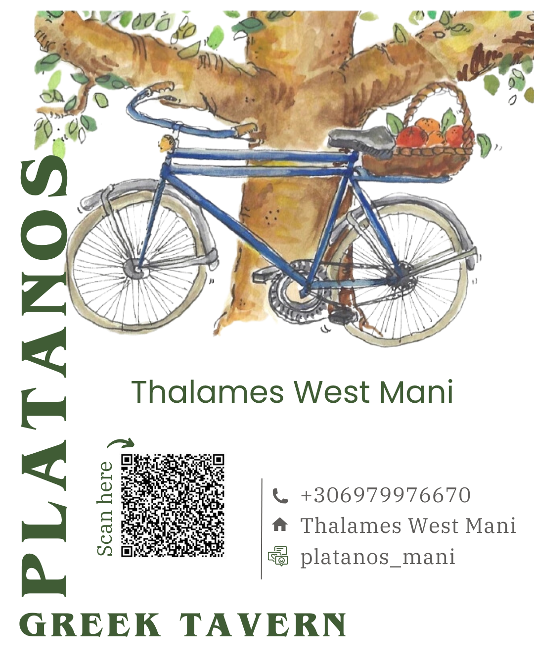 O Platanos Tavern – Thalames, Western Mani